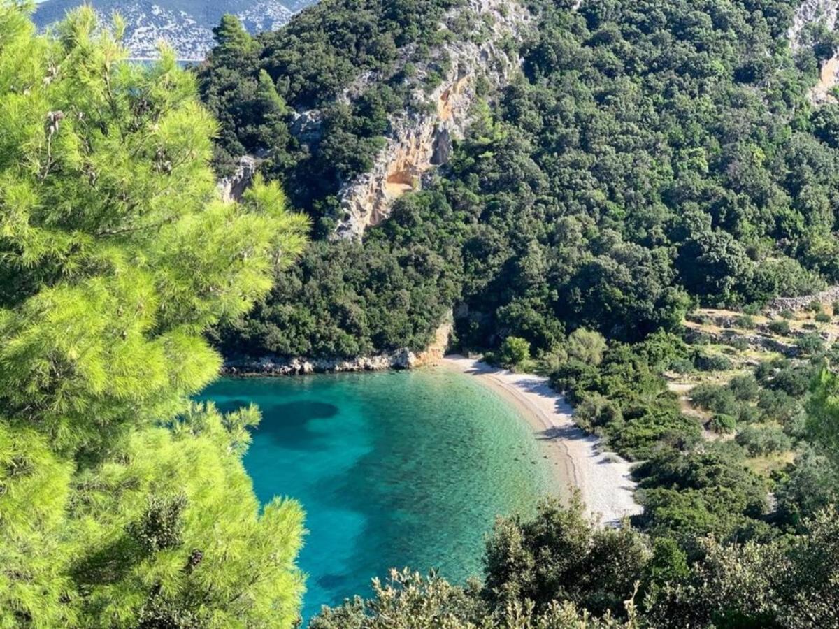 فيلا Vineyard House & Olive Grove House Račišće المظهر الخارجي الصورة