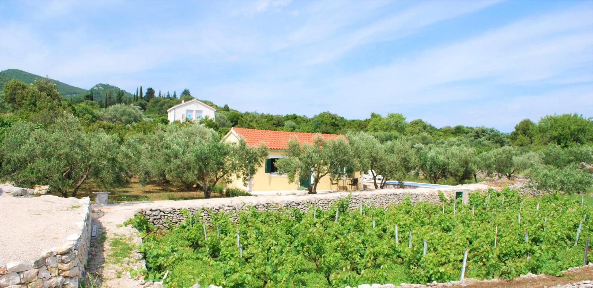 فيلا Vineyard House & Olive Grove House Račišće المظهر الخارجي الصورة