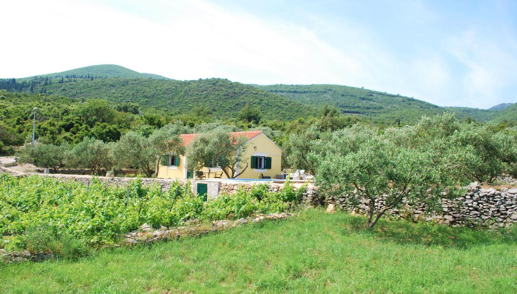 فيلا Vineyard House & Olive Grove House Račišće المظهر الخارجي الصورة