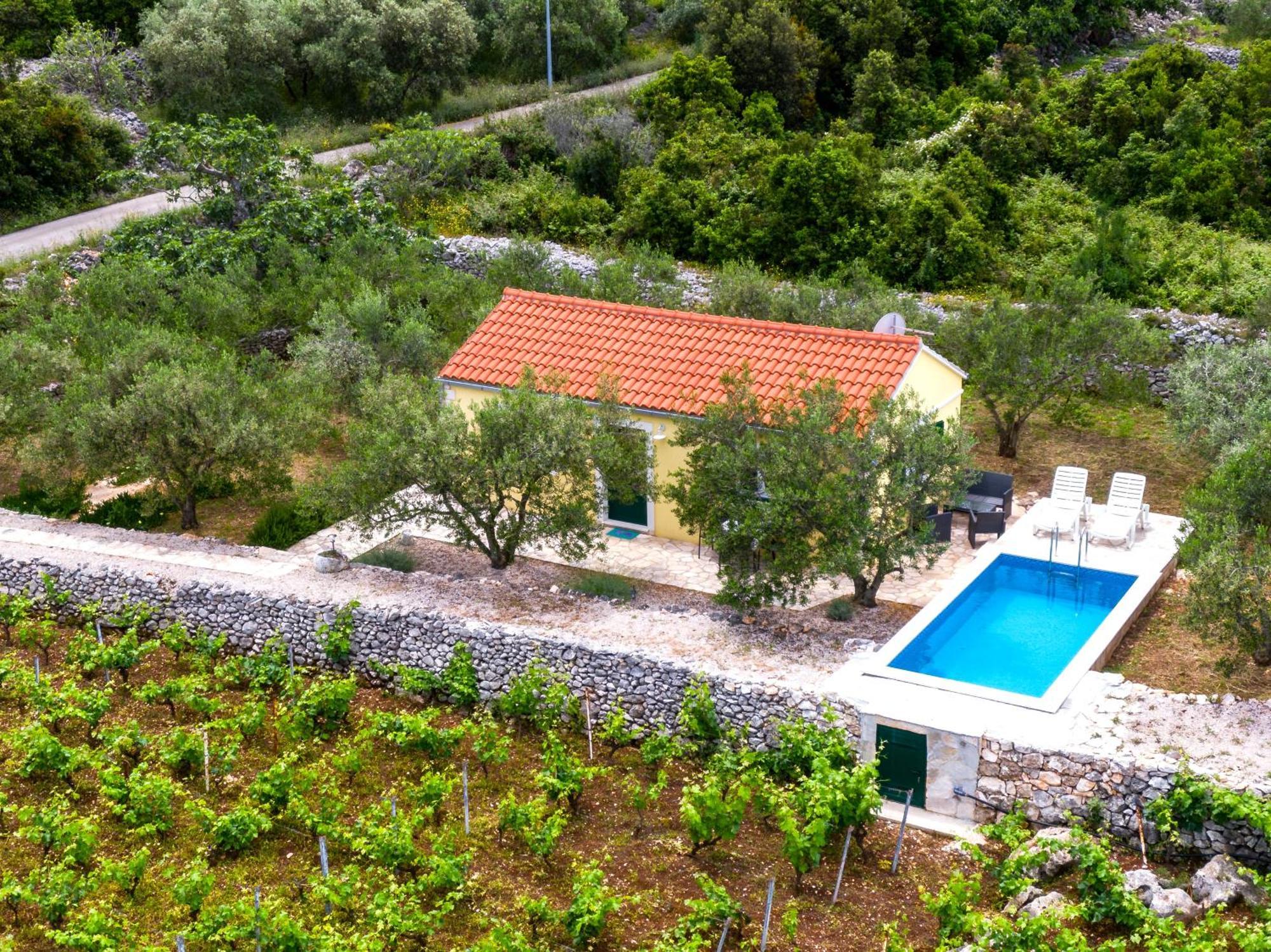 فيلا Vineyard House & Olive Grove House Račišće المظهر الخارجي الصورة