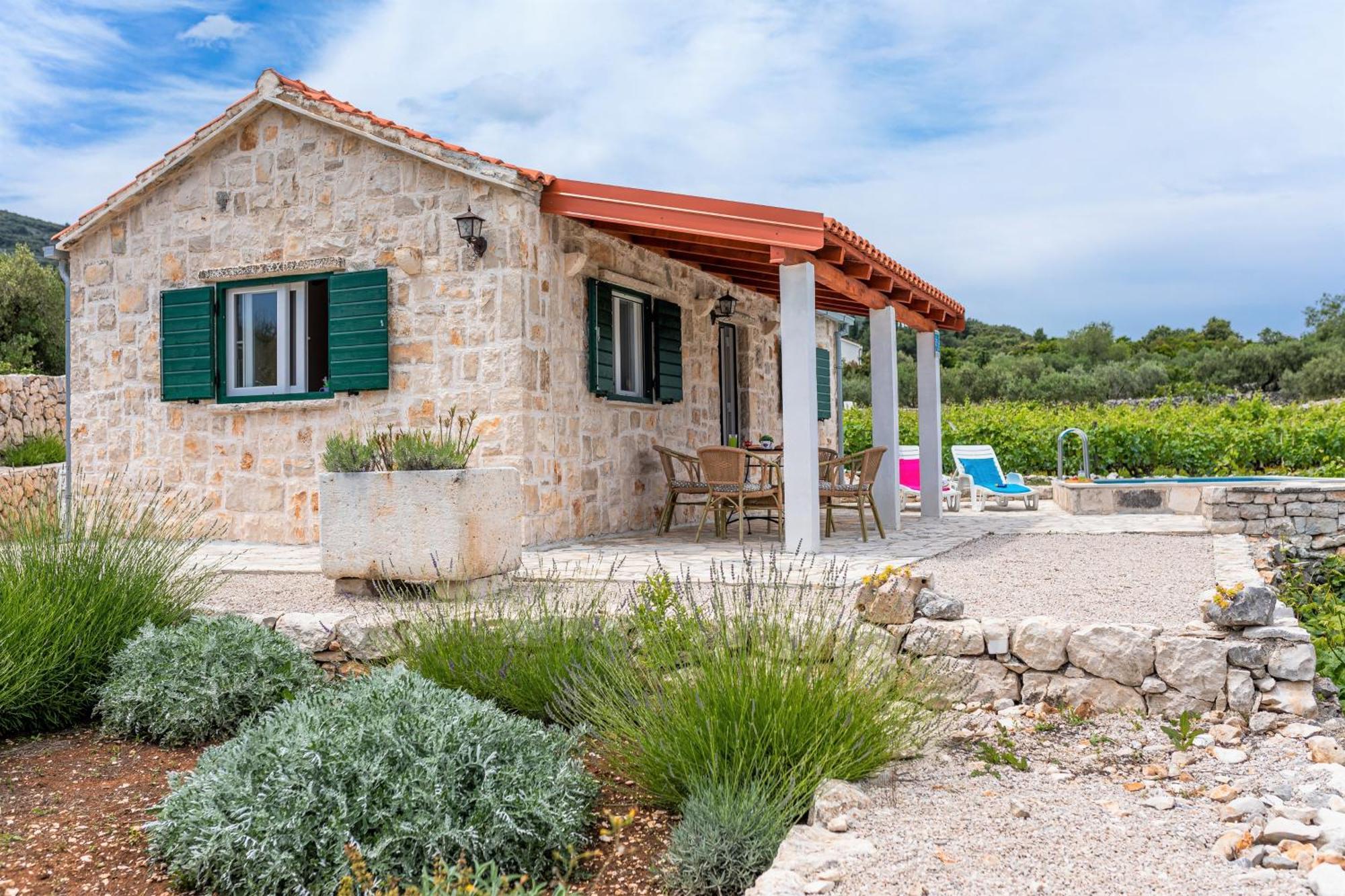 فيلا Vineyard House & Olive Grove House Račišće المظهر الخارجي الصورة