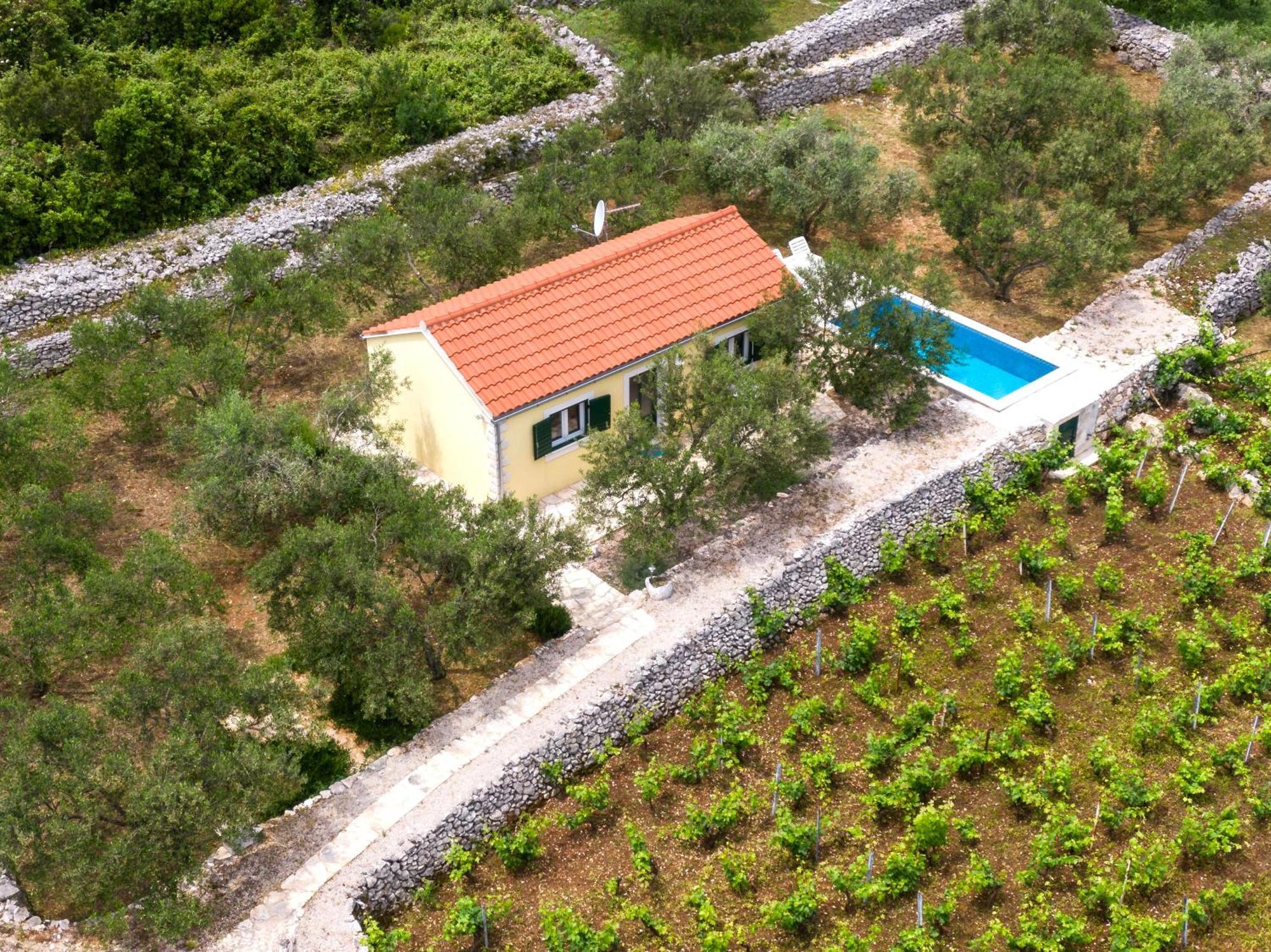 فيلا Vineyard House & Olive Grove House Račišće المظهر الخارجي الصورة
