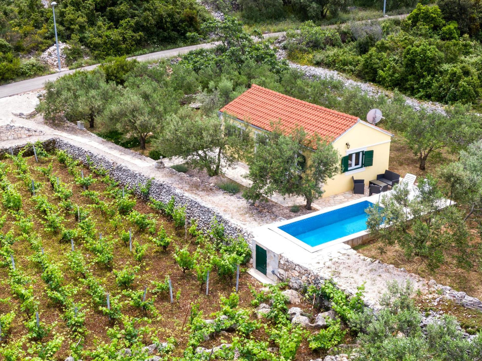 فيلا Vineyard House & Olive Grove House Račišće المظهر الخارجي الصورة
