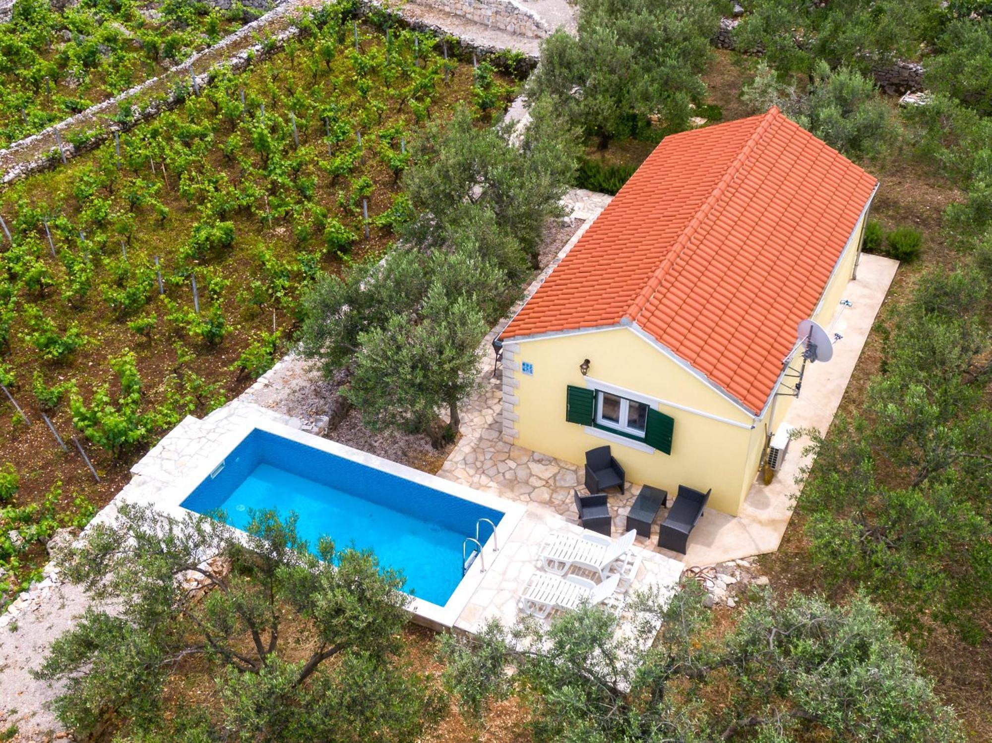 فيلا Vineyard House & Olive Grove House Račišće المظهر الخارجي الصورة