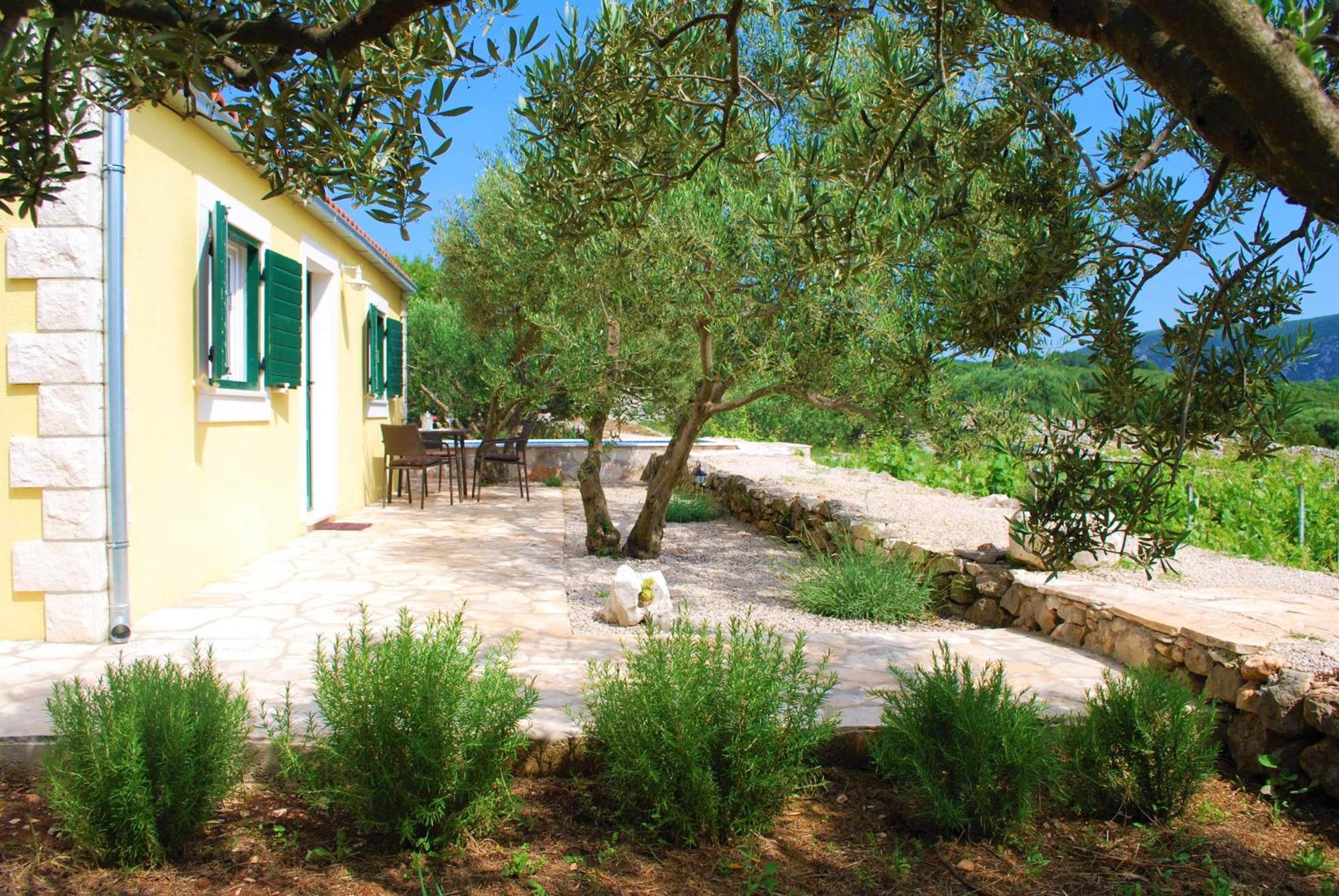 فيلا Vineyard House & Olive Grove House Račišće المظهر الخارجي الصورة