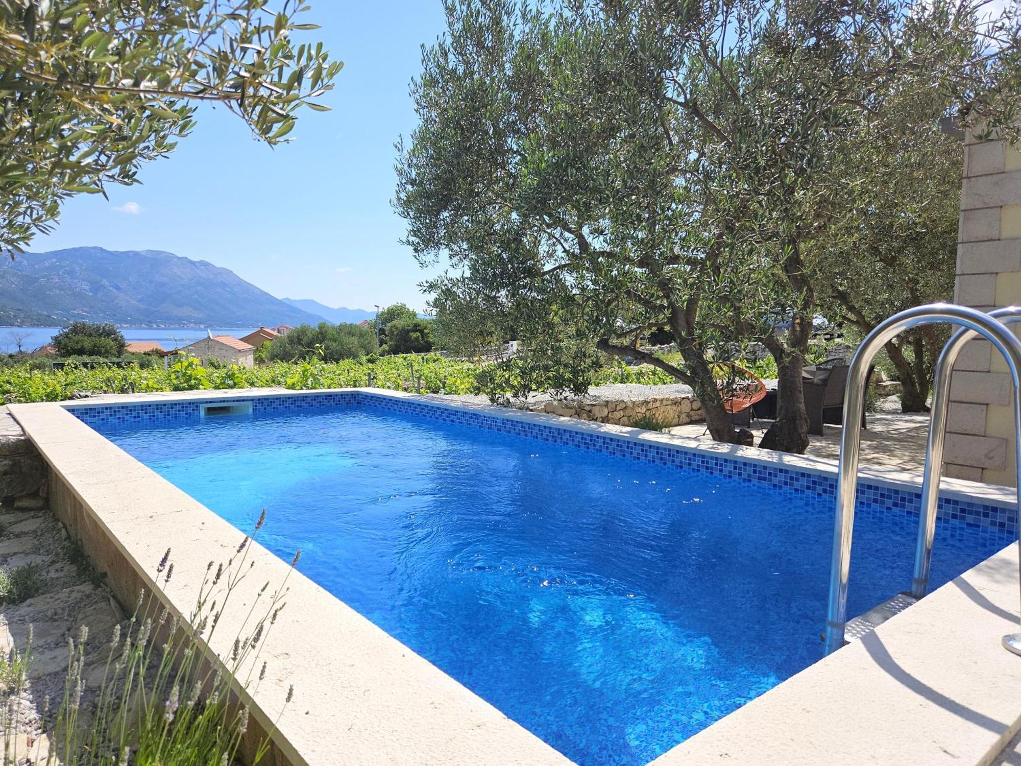 فيلا Vineyard House & Olive Grove House Račišće المظهر الخارجي الصورة