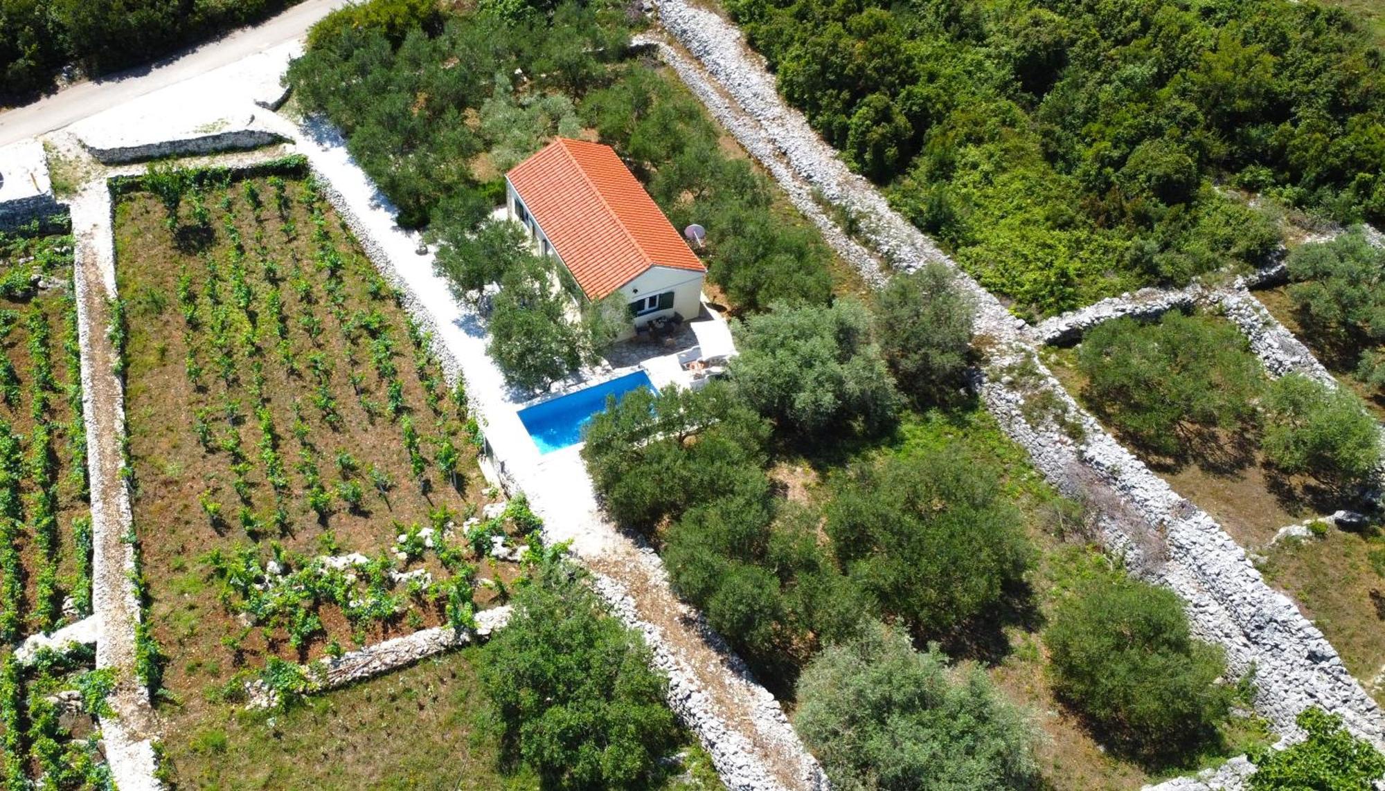 فيلا Vineyard House & Olive Grove House Račišće المظهر الخارجي الصورة
