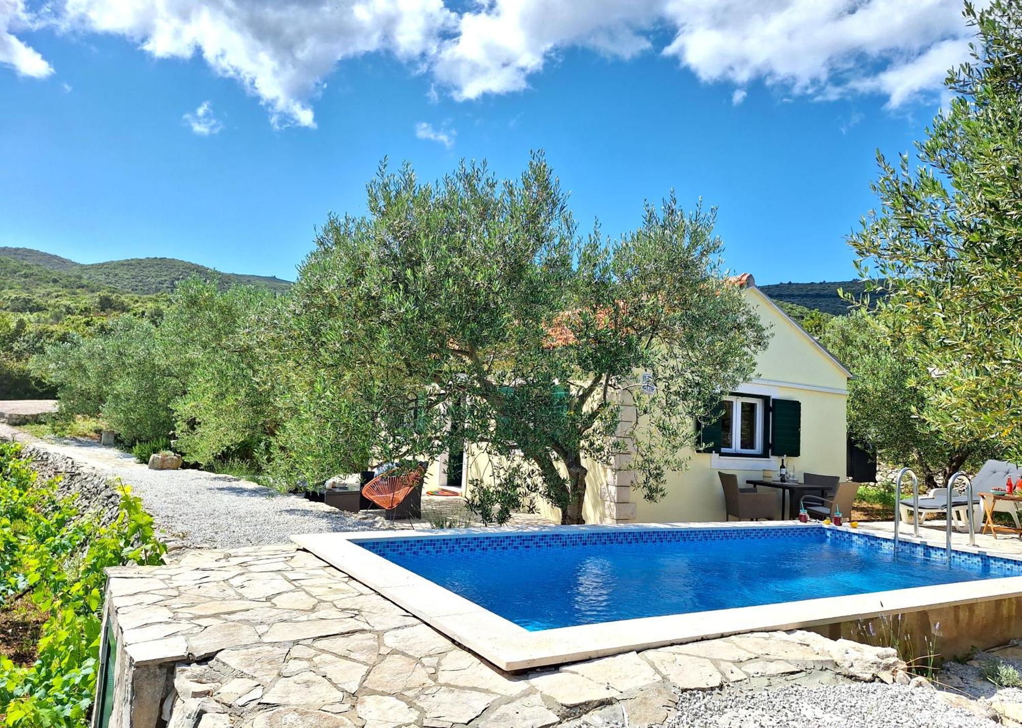 فيلا Vineyard House & Olive Grove House Račišće المظهر الخارجي الصورة