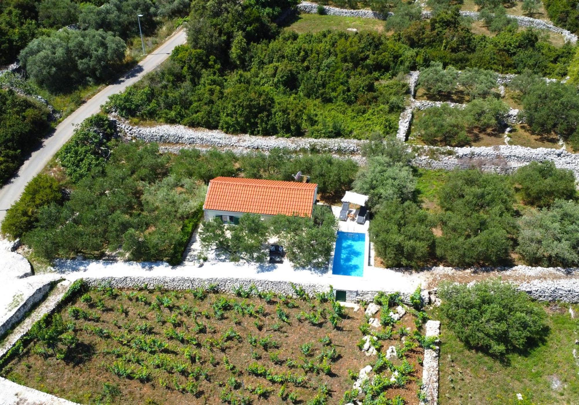 فيلا Vineyard House & Olive Grove House Račišće المظهر الخارجي الصورة