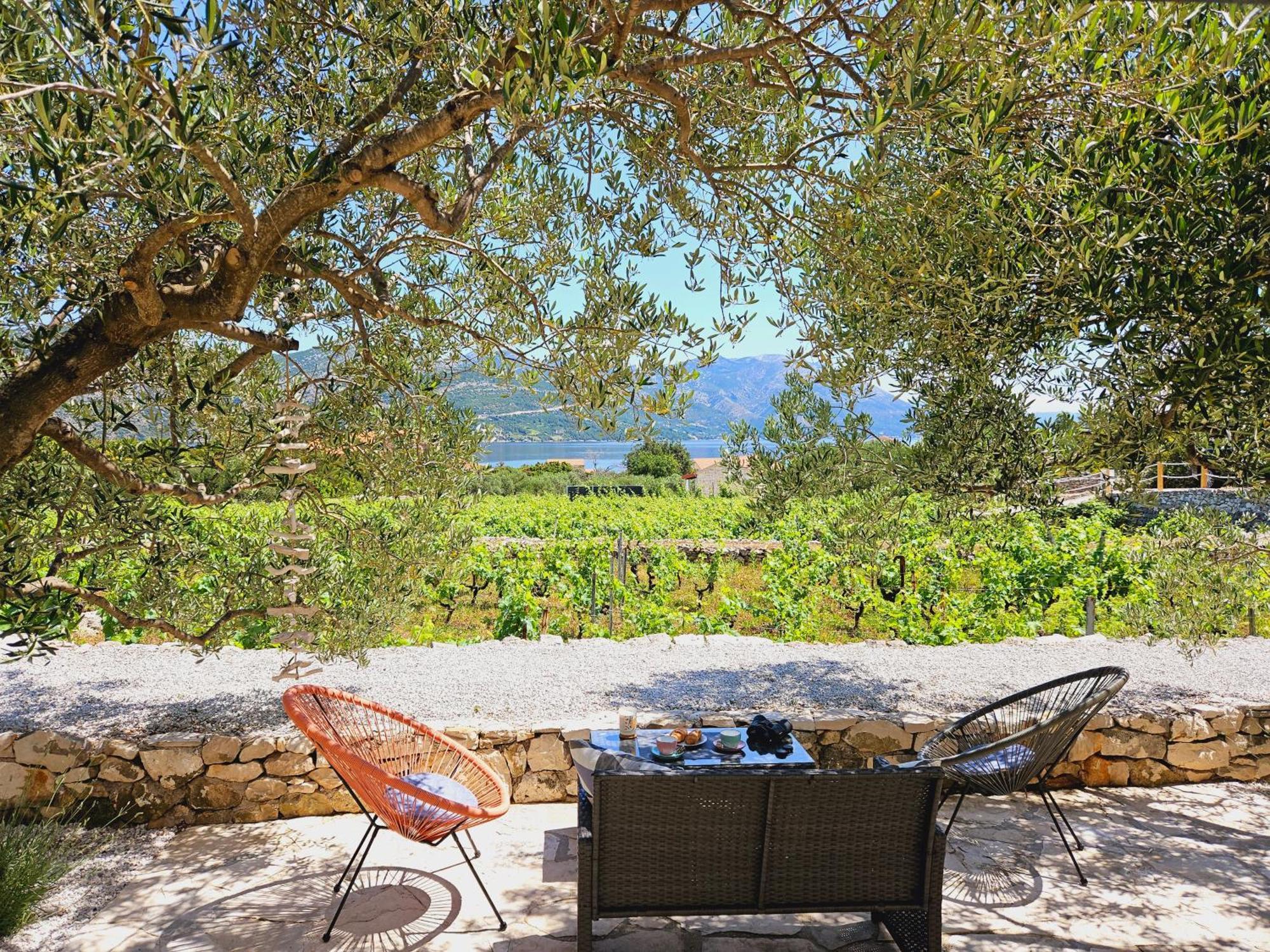 فيلا Vineyard House & Olive Grove House Račišće المظهر الخارجي الصورة