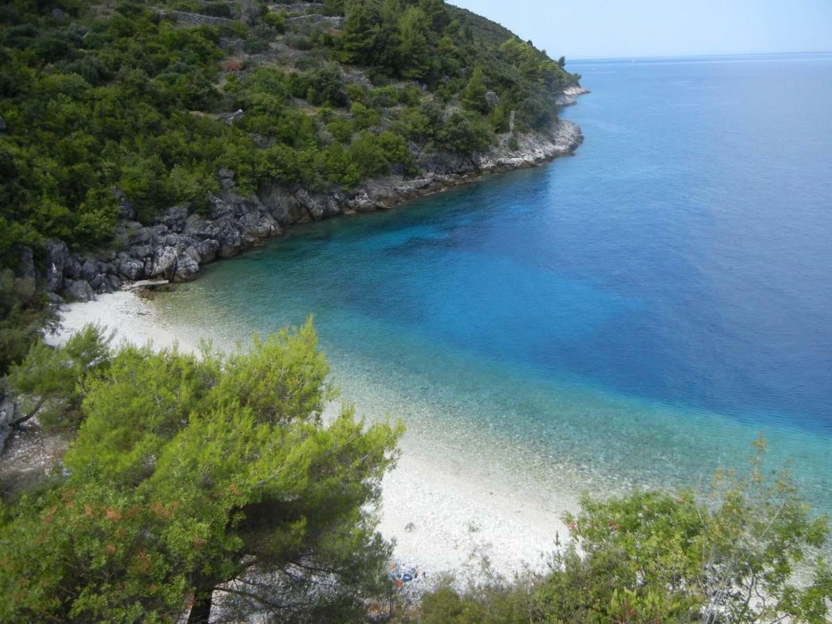 فيلا Vineyard House & Olive Grove House Račišće المظهر الخارجي الصورة