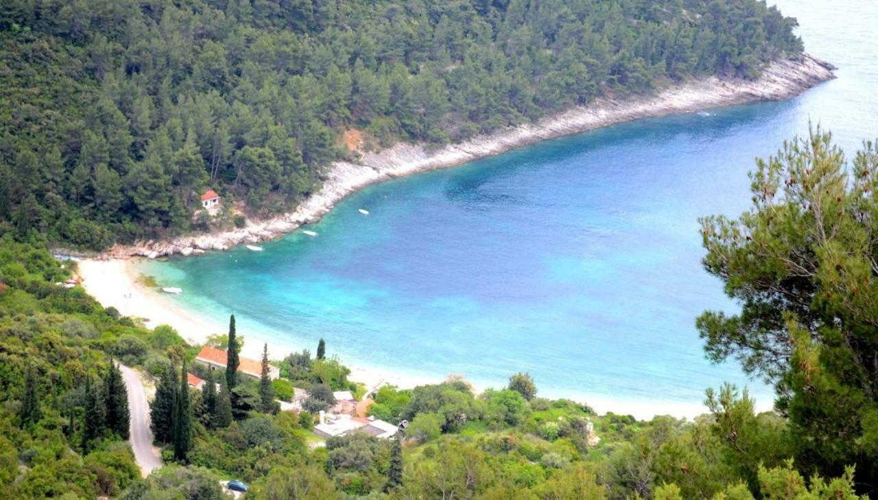 فيلا Vineyard House & Olive Grove House Račišće المظهر الخارجي الصورة