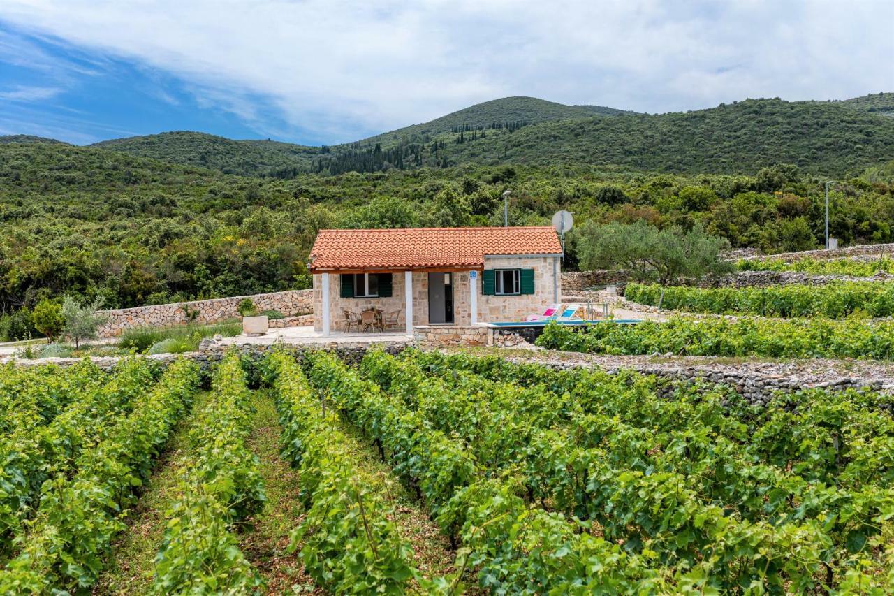 فيلا Vineyard House & Olive Grove House Račišće المظهر الخارجي الصورة