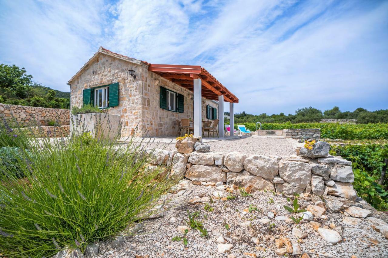 فيلا Vineyard House & Olive Grove House Račišće المظهر الخارجي الصورة