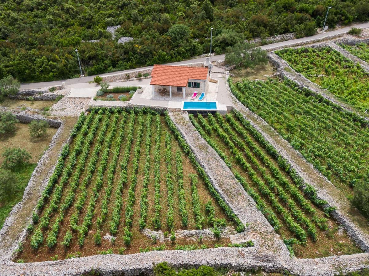 فيلا Vineyard House & Olive Grove House Račišće المظهر الخارجي الصورة