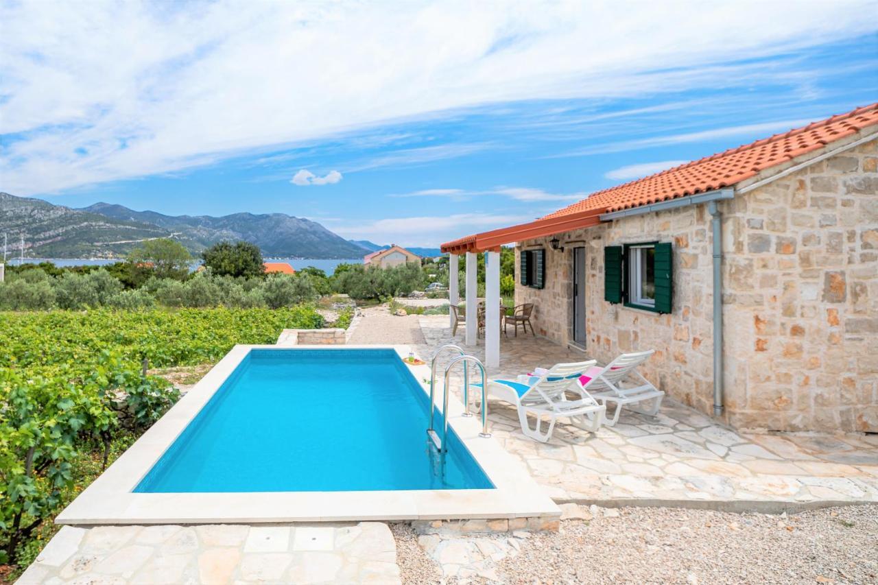 فيلا Vineyard House & Olive Grove House Račišće المظهر الخارجي الصورة