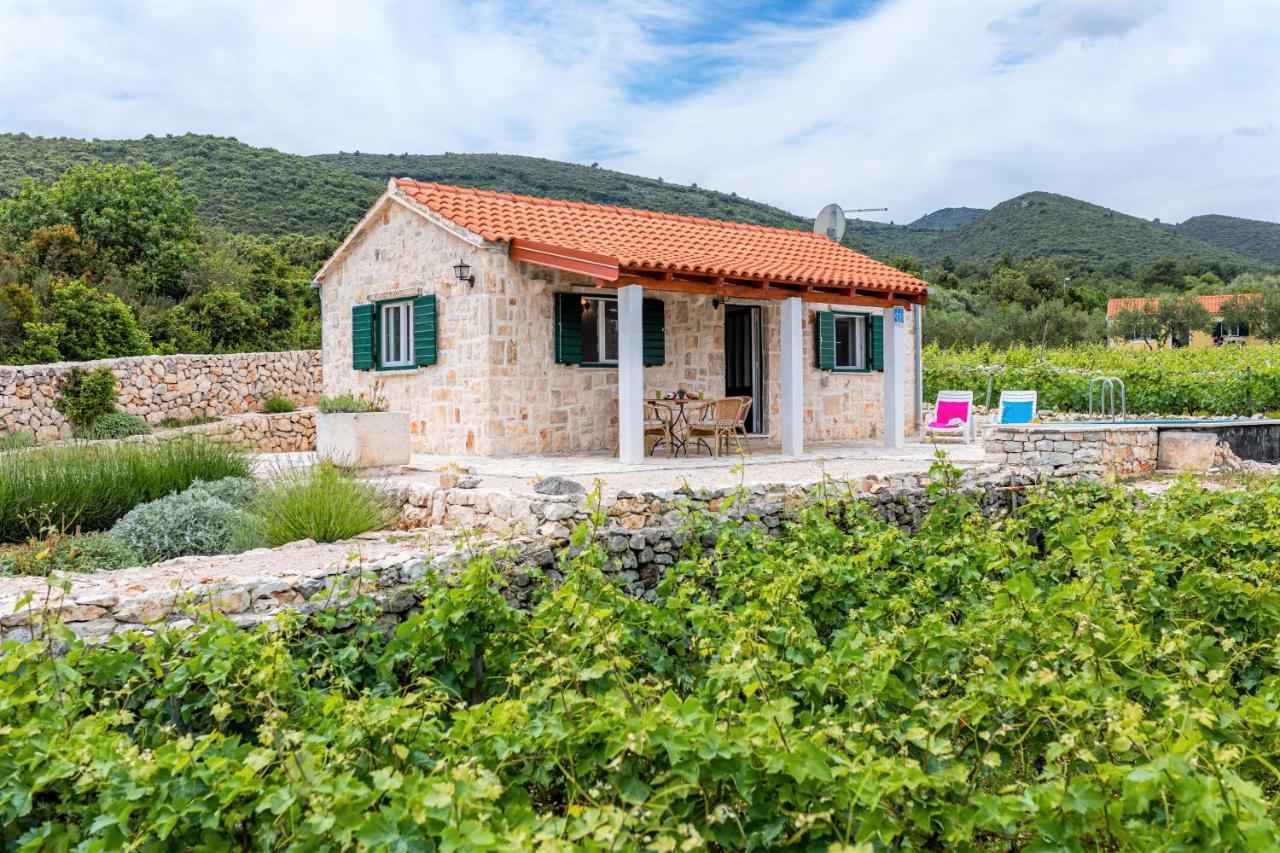 فيلا Vineyard House & Olive Grove House Račišće المظهر الخارجي الصورة