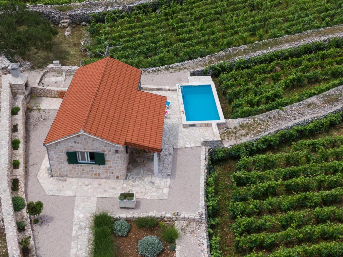 فيلا Vineyard House & Olive Grove House Račišće المظهر الخارجي الصورة