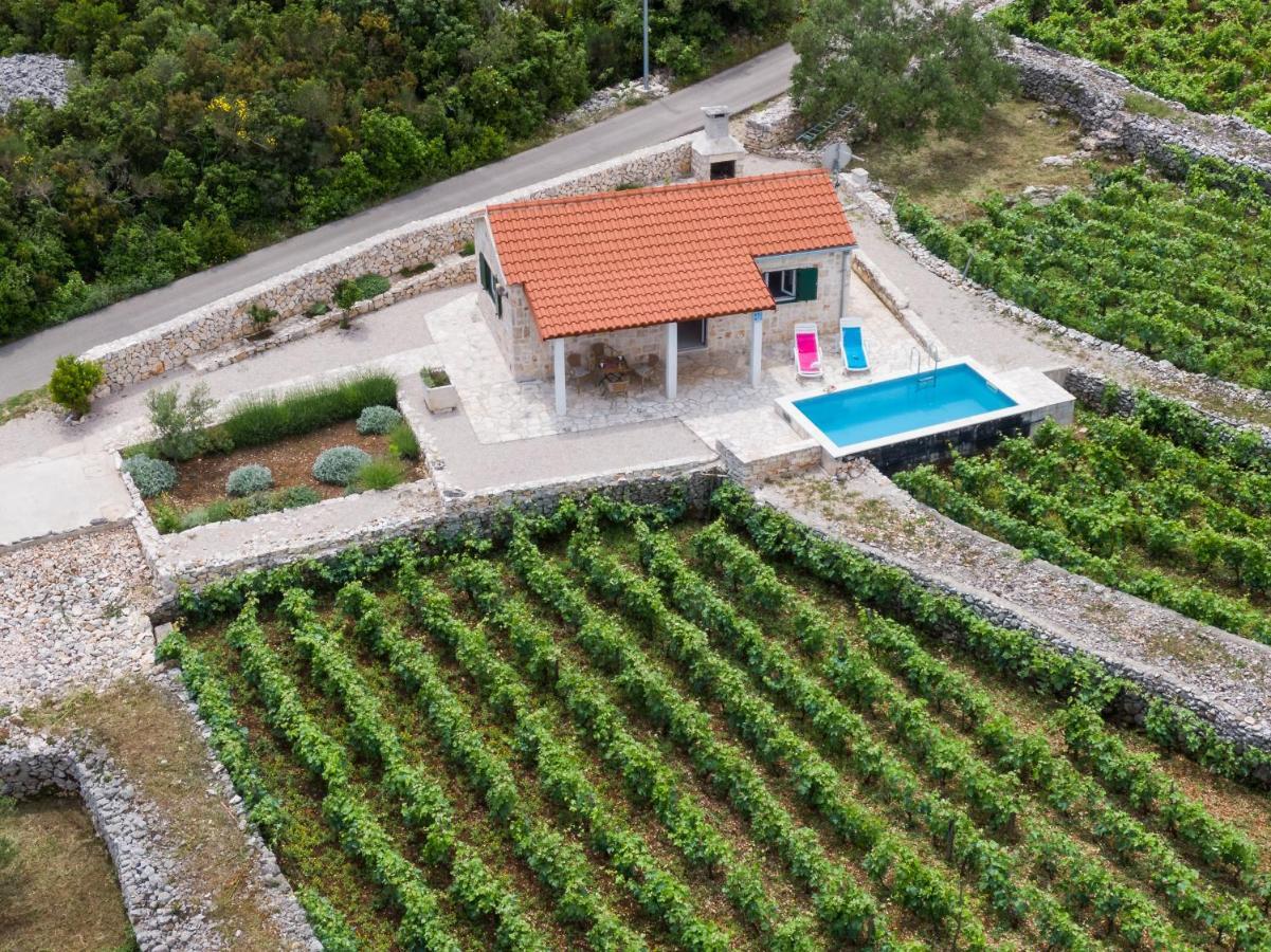 فيلا Vineyard House & Olive Grove House Račišće المظهر الخارجي الصورة