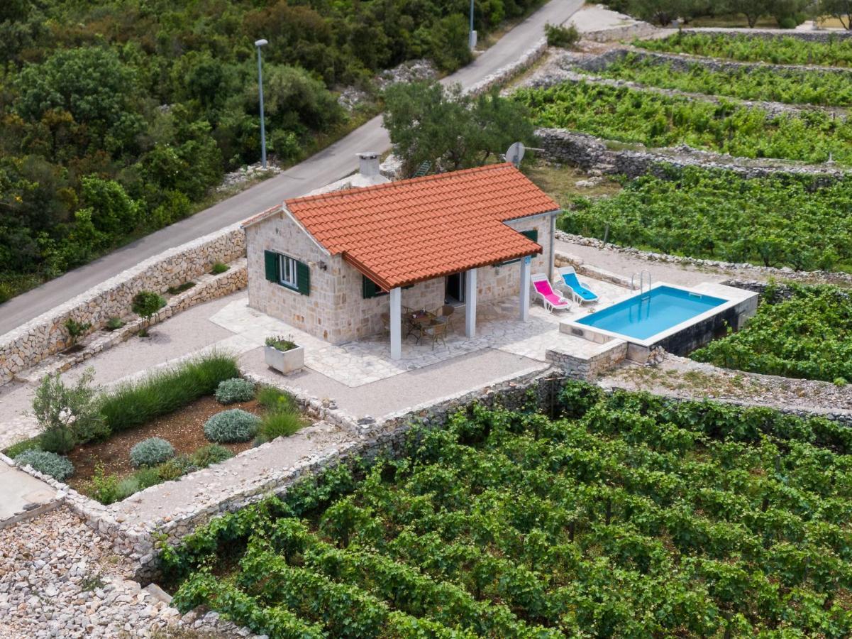 فيلا Vineyard House & Olive Grove House Račišće المظهر الخارجي الصورة